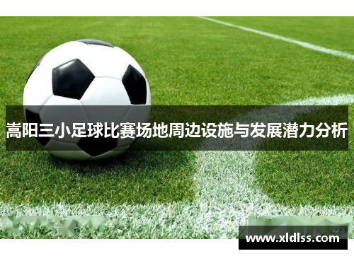 嵩阳三小足球比赛场地周边设施与发展潜力分析