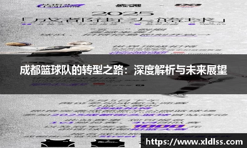 成都篮球队的转型之路：深度解析与未来展望